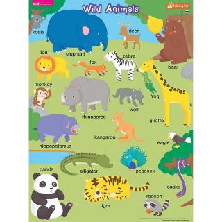 MISBOOK โปสเตอร์พลาสติก Wild Animals (ใช้กับ Talking Pen)