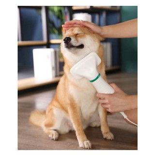 Pet grooming dryer หวีแปรงไดร์เป่าขนสัตว์เลี้ยงไฟฟ้า 