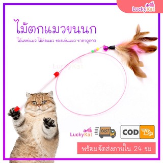 LuckyKat ไม้ตกแมว ไม้แหย่แมว ขนนก ของเล่นแมวขนนก ของดี ราคาถูก จัดส่งเร็ว