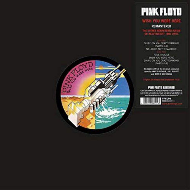 แผ่นเสียง Pink Floyd 🔥🔥🔥
