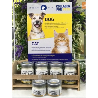 บำรุงขนสวย หมา แมว  collagen for Pet คอลลาเจนสำหรับสัตว์เลี้ยง