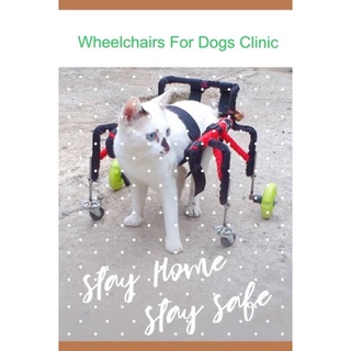 วีลแชร์สุนัข โครงเหล็กกันสนิม ขนาดไซส์ XS สัตว์เลี้ยง รถเข็น wheelchair dog**ติดต่อร้านค้าก่อนสั่งซื้อ**โดยสัตวแพทย์