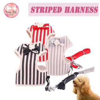 สายจูงรัดอก เสื้อสายจูง Striped Harness สายจูง น้องหมาน้องแมว พุดเดิ้ล ปอม ชิวาวา บีเกิ้ล คอร์กี้ ปั๊ก