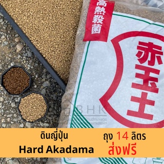 ดินญี่ปุ่น Hard Akadama M [ส่งฟรี] ดินญี่ปุ่นอาคาดามะ วัสดุปลูกไม้ด่าง บอนไซ แคคตัส ไม้อวบน้ำ ใช้โรยหน้ากระถางและผสมดิน