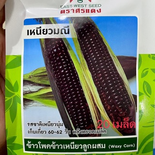 ข้าวโพด เหนียวมณี 20 เมล็ด