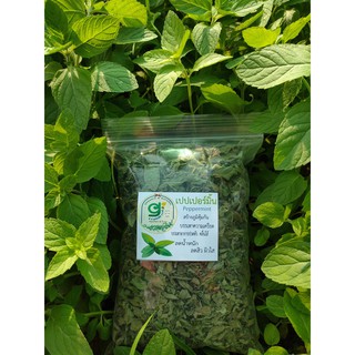 เปเปอร์มิ้นอบแห้ง dried pepermint มิ้นต์ขาว 50 กรัม คัดใบและยอด  ปลอดภัย ออร์กานิค ชา สมุนไพร