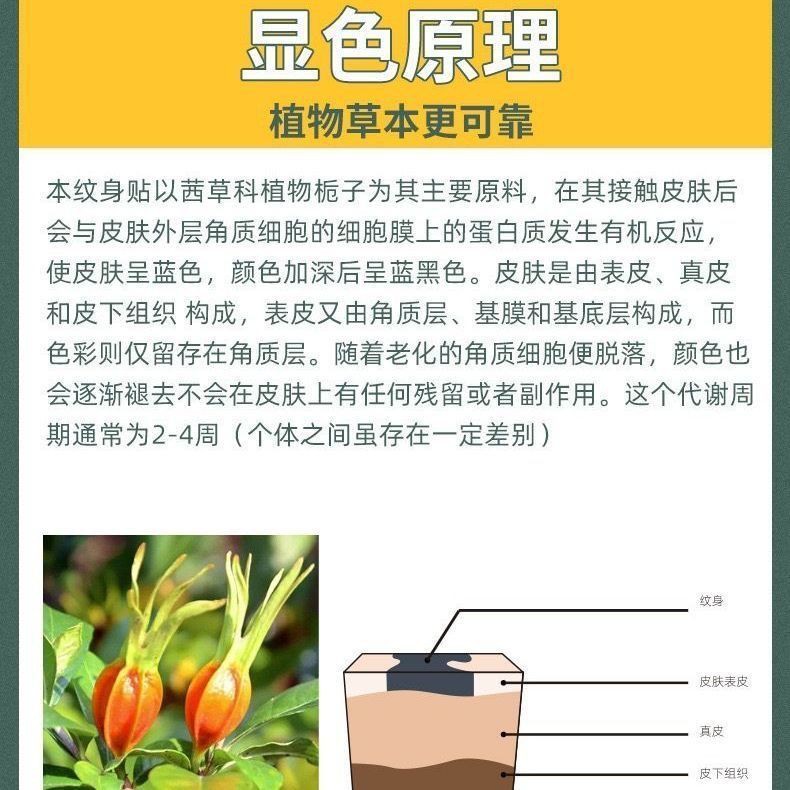 My Image 38