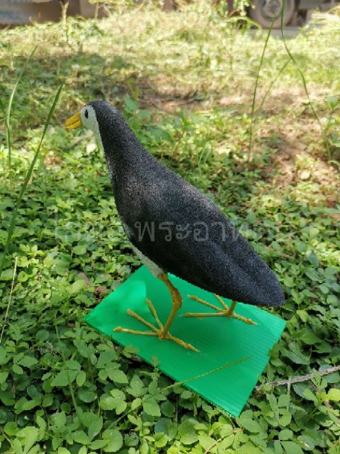 หุ่นนกกวักยาง​ นกยางแต่ง​ นกปลอม​ นกกวักปลอม