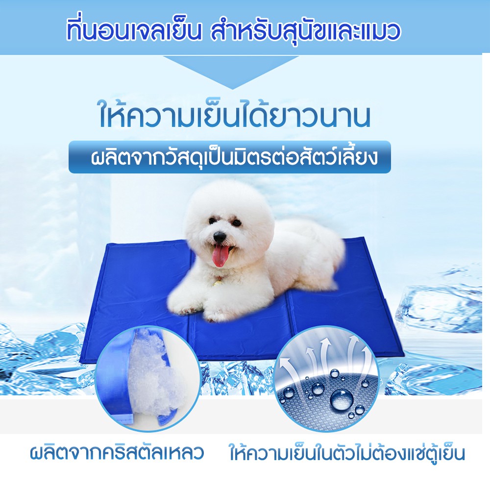 Pet cool mat แผ่นเจลรองนอนหมา แผ่นเจลเย็นสุนัข ที่นอนเจลเย็นสำหรับสุนัข