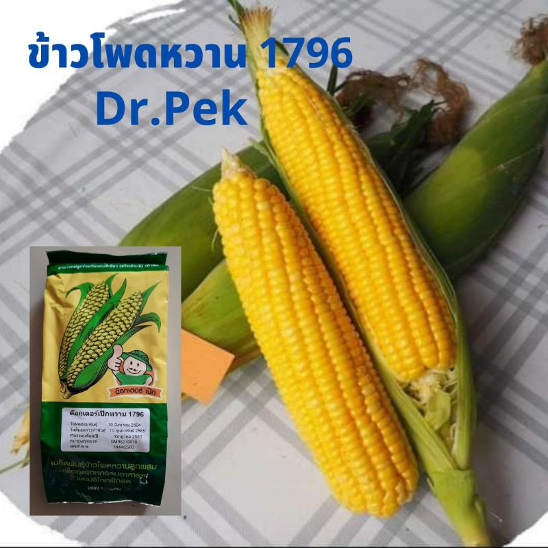 [1 kg] เมล็ดพันธุ์ข้าวโพดหวาน 1796 Dr.Pek ขนาดฝักใหญ่ สีเหลืองสด ทรงกระบอก