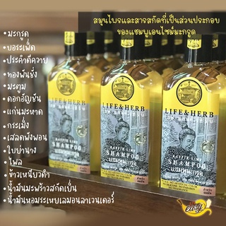 แชมพูเอนไซม์มะกรูด (Kaffir lime shampoo) ผสมสมุนไพร ลดผมร่วง (Life&amp;Herb บ้านอโรคยา) มี 3 สูตร (ผมแห้ง/ผมธรรมดา/ผมมัน)