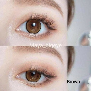 บิ๊กอายตาโต Seeshell พร้อมส่ง