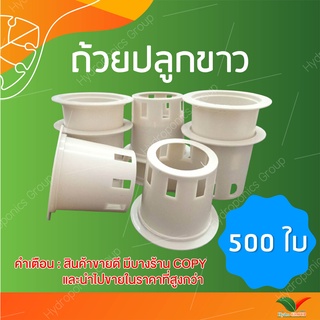 ถ้วยปลูกผักไฮโดรโปนิกส์ใช้ซ้ำ 1 ชุด จำนวน 500  by hydroponicgroup