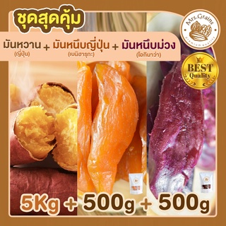 มันหวานญี่ปุ่น 5 Kg + มันหนึบญี่ปุ่น 500 g + มันหนึบม่วง 500 g มันหวานหนึบ เบนิฮารุกะ มันหนึบ ขนมมันหวาน