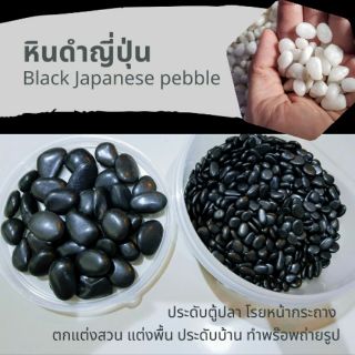 หินดำญี่ปุ่น และ หินขาวเงา 500 กรัม Black Japanese pebble หินดำเงา เหมาะประดับตู้ปลา โรยหน้ากระถาง จัดสวน รองพื้นทางเดิน