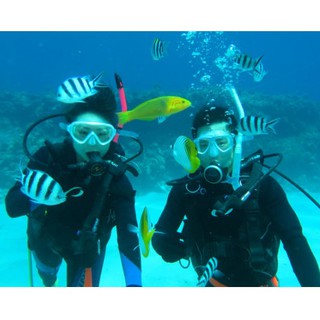 Padi Diving - Fun dives for certified divers including dive equipment