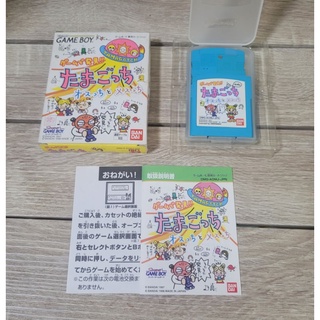 Discovered in the game  Tamagotchi Male and Female
