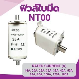 ฟิวส์ ฟิวส์ใบมีด NT00 500V~120kA 16A,20A,25A,32A,35A,40A,50A,63A,80A,100A,125A,160A