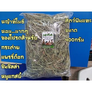 หญ้าทิโมธี สำหรับสัตว์เลี้ยง