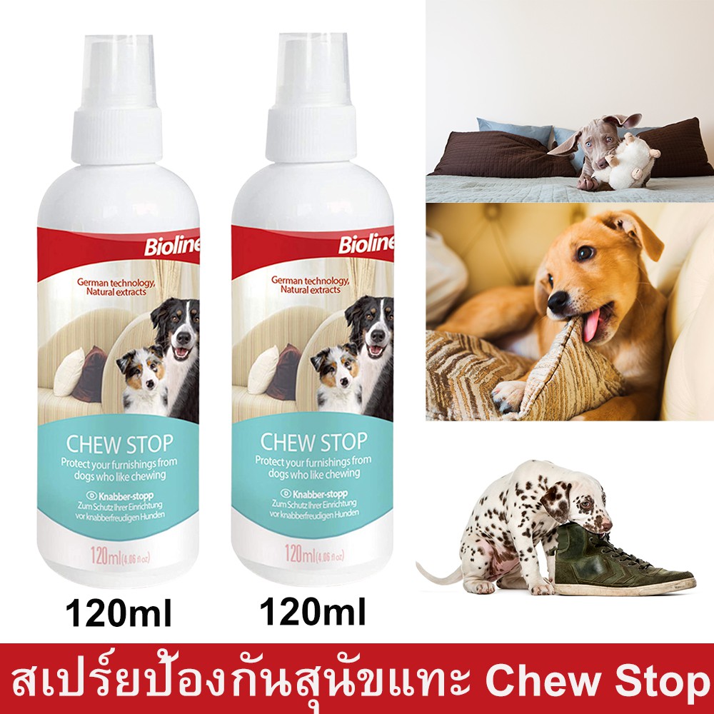 สเปร์ยป้องกันสุนัขกัดแทะ สเปร์ยกันฉี่ 120มล. (2ขวด) Bioline Stop Chew Dog Spray Natural Extracts Ant