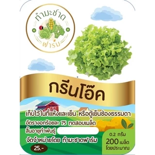 ทำมะชาดฟาร์ม (ซื้อ10แถม1) เมล็ดพันธุ์ กรีนโอ๊ค ขนาด0.2กรัม ประมาณ200เมล็ด GREEN OAK ผักสลัด เมล็ดพันธุ์พืช เมล็ดผัก