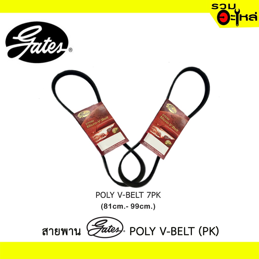 สายพาน Gates 810-990  POLY  V-BELT (7PK) ความกว้าง 24mm. ความยาว 810mm. - 990mm. รุ่นรถ Colorado,D-M