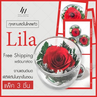 กุหลาบในโหลแก้ว แก้วไลล่า 1 ดอก (x3ชิ้น) Preserved Rose ของขวัญครบรอบ ดอกกุหลาบอมตะ ของขวัญวาเลนไทน์