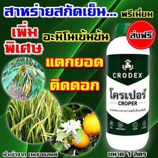 ส่งฟรี💥 โครเปอร์ 1 ลิตร  สาหร่าย สกัดเย็น ไซโตไคนิน ฮอร์โมนพืช จากเนเธอแลนด์ แตกยอด ตาดอก เร่งดอก #เกอมาร์พลัส สติมเพล็ก