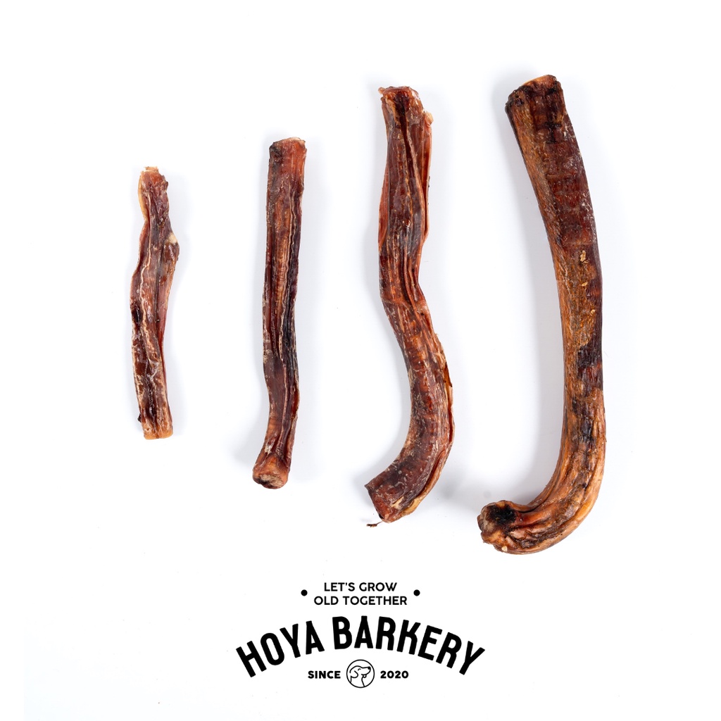 Bully Sticks dog treats ตัวเดียวอันเดียววัวอบแห้ง ขนมน้องหมา มีหลายขนาด