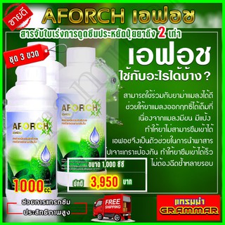 เอฟอช Aforch สารจับใบ ปุ๋ยนำ้เอฟอช ( ขนาด 1000 ซีซี 3 ขวด ) ชนิดเร่งดูดซึมไว ของแท้ 100% ส่งฟรีเก็บเงินปลายทาง