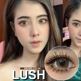 บิ๊กอาย คอนแทคเลนส์ รุ่น Lush Gray &amp; Brown ยี่ห้อ Wink lens ❤️มีค่าสายตา❤️