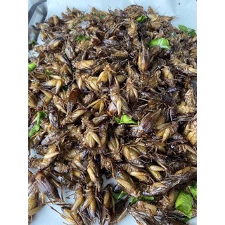 จิ้งโกร่งไข่ทอด (จิ้งหรีดขาว) แมลงทอดตามออเดอร์ สดใหม่ทุกวัน