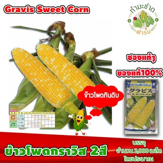 [ซองแท้ 2,000เมล็ด] เมล็ดพันธุ์ ข้าวโพด กราวิส ข้าวโพด 2สี Gravis Hokkaido Sweet Corn ข้าวโพดฮอกไกโด ข้าวโพดนมสด