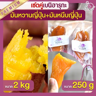 แพ็คคู่ถูกกว่า มันหวานญี่ปุ่น เบนิฮารุกะ 2kg + มันหนึบ 250g  มันหวานญี่ปุ่นนำเข้า มันหวานญี่ปุ่นเบนนิฮารุกะ มันหนึบ