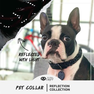 ปลอกคอสัตว์เลี้ยงสะท้อนแสง Reflective night safe pet collar สลักชื่อ เบอร์โทรฟรี หนังนิ่มแท้+ไนล่อน | Mr.&amp;Mrs.Sniff