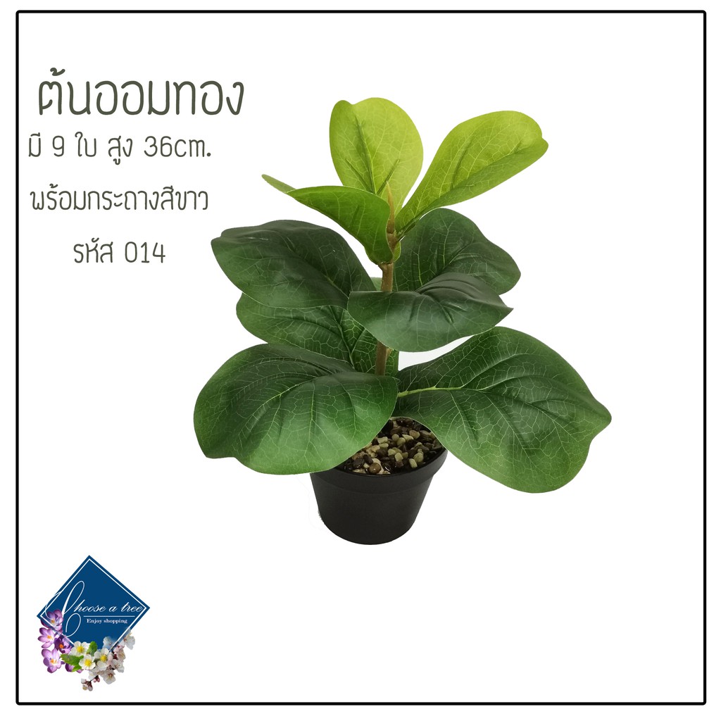 BY-01[พร้อมส่งทั้งกระถาง]ต้นไทรใบสักปลอม สูง36CM. รหัส014