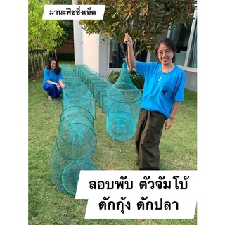 ไอ้โง่ไต้หวัน 🅰️ จับกุ้ง จับปลา 📌ตัวจัมโบ้ใหญ่สุด ยาว 8 เมตร