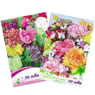 ผู้ผลิตเมล็ดพันธุ์/เมล็ด ดอกคาร์เนชั่น คละสี  30เมล็ด carnation mixed   เมล็ดนำเข้า/ขายดี พันธุ์ อินทรีย์ SPUF