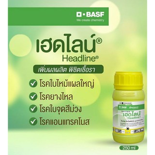 เฮดไลน์ 250 ซีซี Headline® (ทะเบียนใหม่) ไพราโคลสโตรบิน 25% บริษัท BASF จำกัด