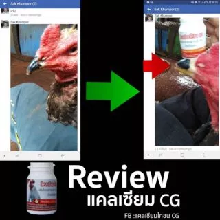 แคลเซียมCG สำหรับไก่ชน
