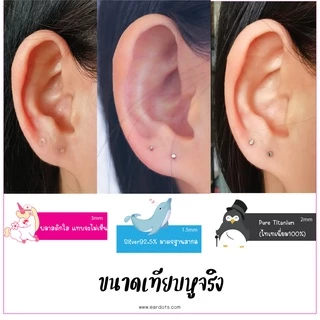 ต่างหูซ่อนเร้นใส่ไปเรียน/ทำงาน สำหรับผิวแพ้ง่าย หมุดเล็ก มองไม่เห็น T-Shape