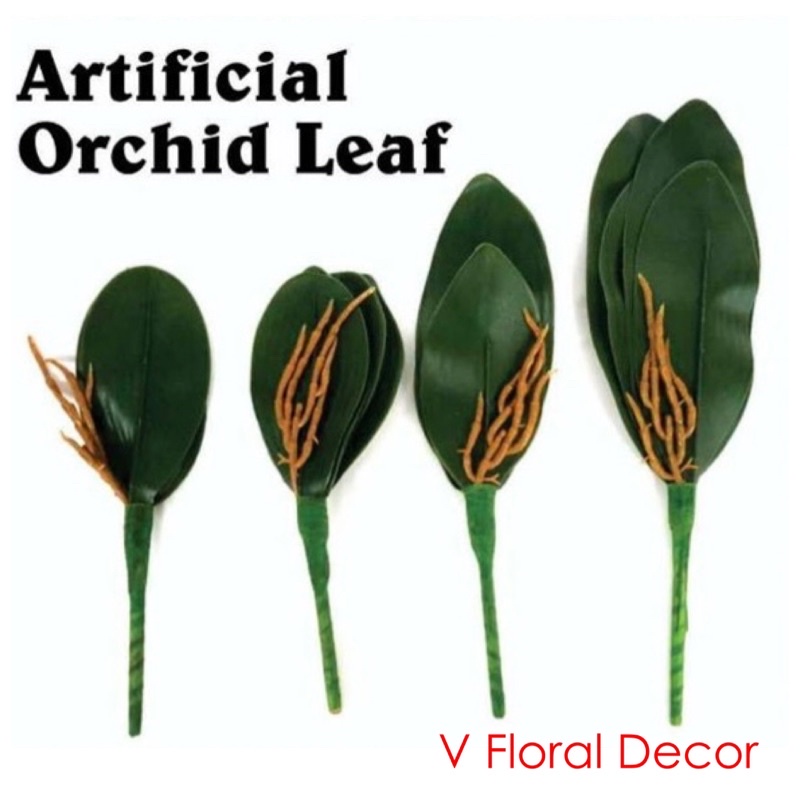 ใบกล้วยไม้ผีเสื้อเทียม / Daun Tiruan Orkid / ใบไม้ปลอม พืช / Daun Orkid Latex