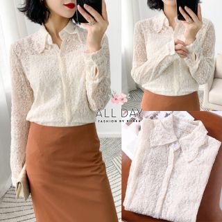 เสื้อลูกไม้สไตล์เกาหลี แขนยาว อก -34"