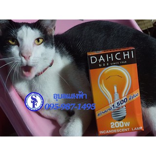 หลอดไฟ 200W ขั้วเกลียว E27  หลอดใส DAIICHI INCANDESCENT LAMP หลอดจุดไส้