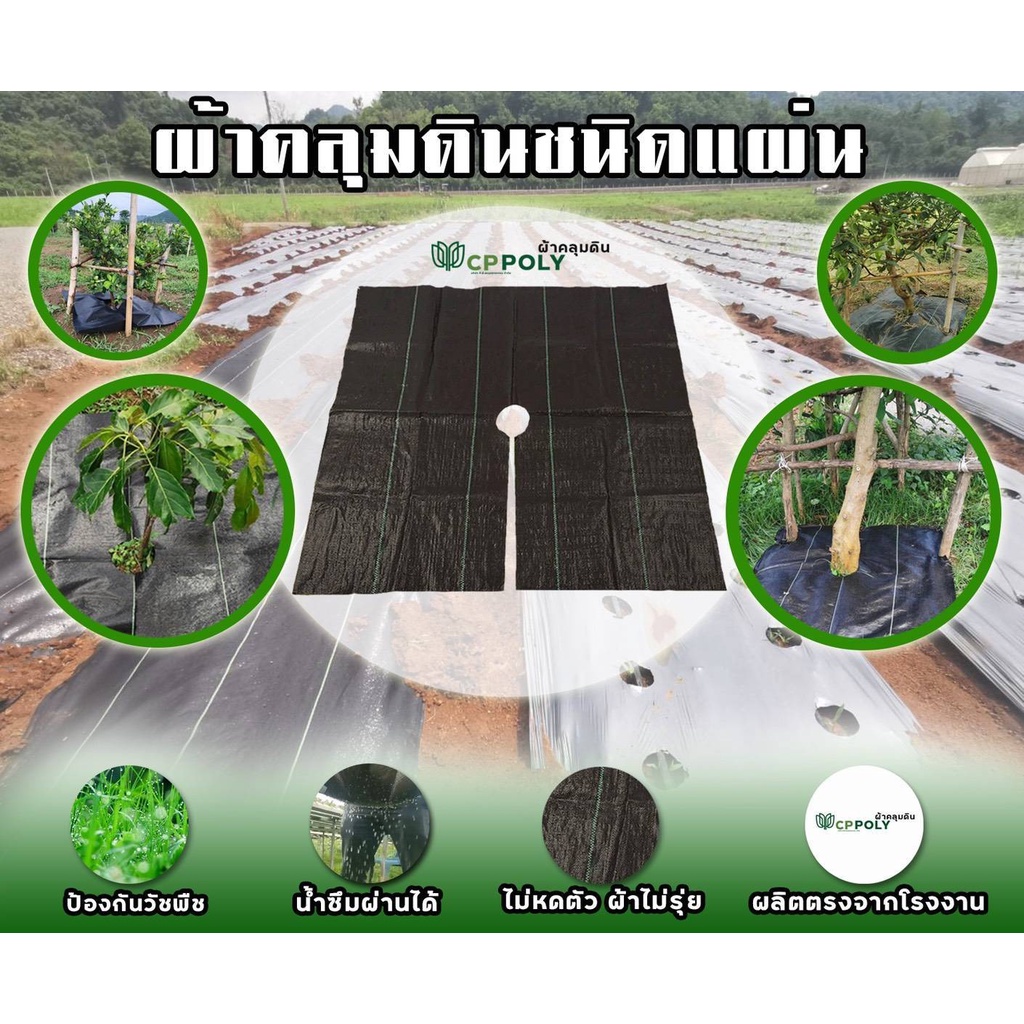 ผ้าคลุมดินกันวัชพืช แบบแผ่น CP Poly | พลาสติกคลุมดิน ผ้ายางคลุมหญ้า น้ำซึมผ่านได้ ทนแดด