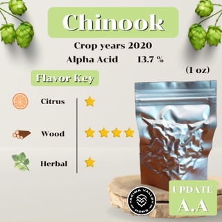 Chinook Hops (1oz) (บรรจุด้วยระบบสูญญากาศ)