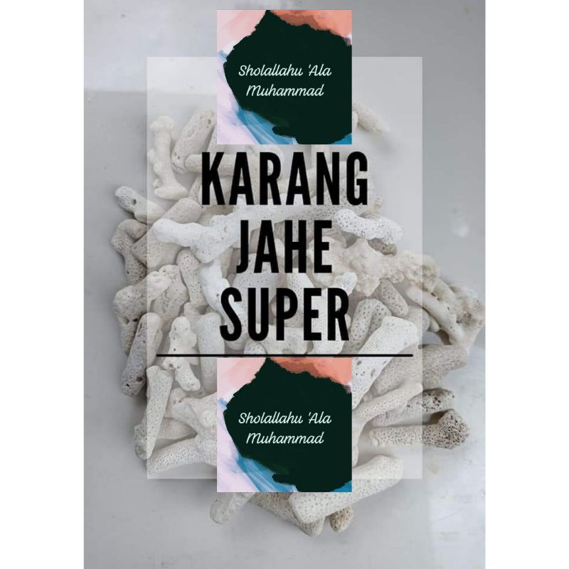 JAE MEDIA FILTER คอรัล