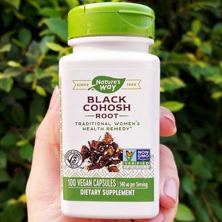 สารสกัดจากแบลกโคฮอส Natures Way® Black Cohosh Root 540 mg 100 Vegan Capsules บรรเทาอาการวัยทอง ร้อนวูบวาบ อารมณ์แปรปรวน