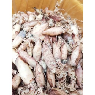 หมึกกะตอย หมึกต้ม หมึกตะนอย ปลาหมึกกระตอย ปนไข่ หมึกแดดเดียว หมึกสด ใหม่ทุกวัน รสไม่เค็มมาก สะอาด อร่อย ปลอดสาร 100%