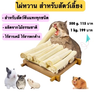 ไผ่หวาน 🎍sweet bamboo อุปกรณ์ลับฟันจากธรรมชาติ สำหรับหนูแฮมเตอร์ ชูก้า กระต่าย แกสบี้